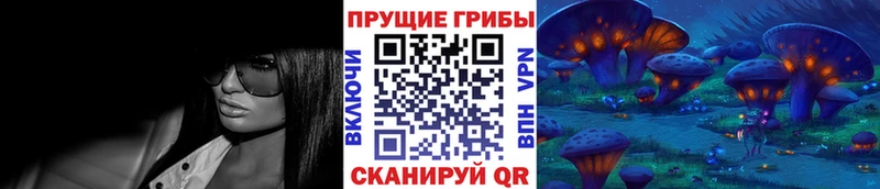 Псилоцибиновые грибы Psilocybe  Купить  Петров Вал 